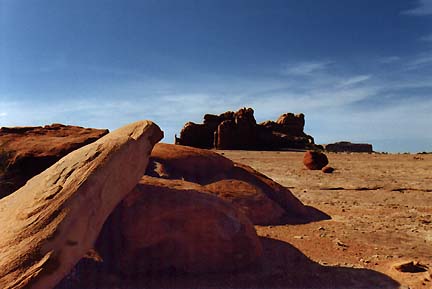 The Camel