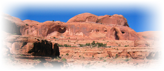 Dreamride Bike Vacation Charters