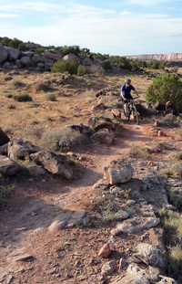 Easy Trail