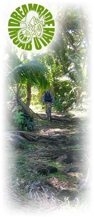 Jungle rides.