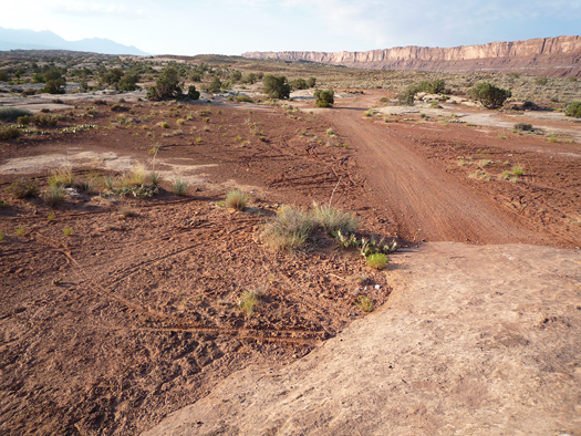 Bar M trail July 2, 2008