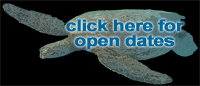 Big Island schedules