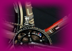 Pegoretti Big Leg Emma custom
