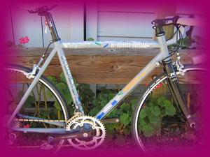 Pegoretti Wild Women
