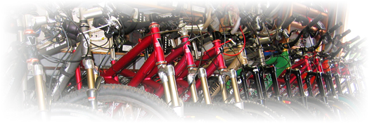 Dreamride Moab rental fleet