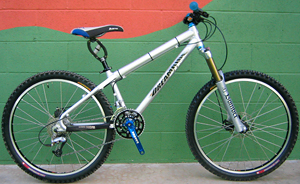 Dreamride Stud Muffin rental