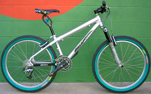Dreamride Stud Muffin rental