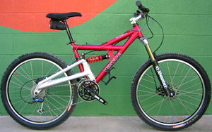 Dreamride Ventana rental