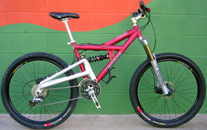 Dreamride Ventana rental