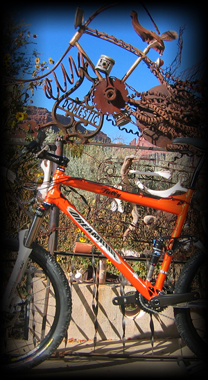 Dreamride Fully next to the magic fence