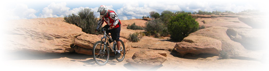 We still have Dreamride Stud Muffin hardtails.