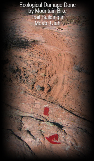 Moab cycling