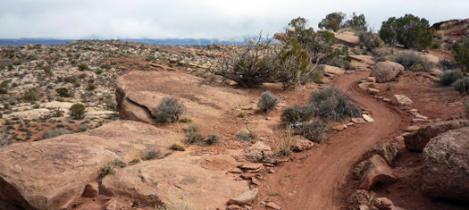 Deadman Trail