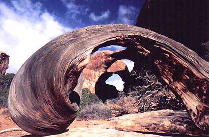 Double Arch with natural prop