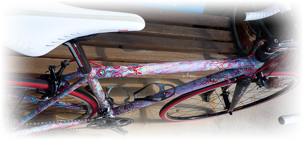 custom paint on a Dreamride Moots CR road bicycle