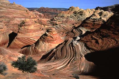 It's only the best place!