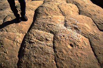 On the way to Las Vegas.