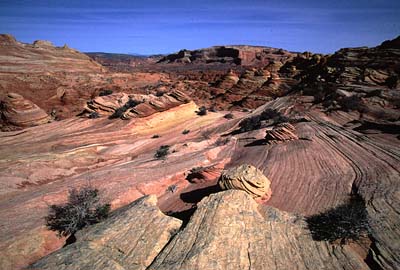 On the way to Las Vegas!