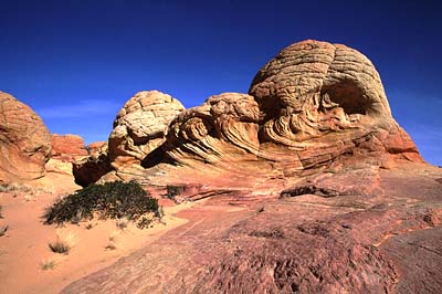 Coyote Buttes Navajo Sandstone Formations.