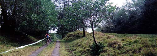 Hawaii Vacations with Dreamride