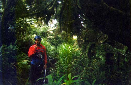 Hawaii Vacations with Dreamride