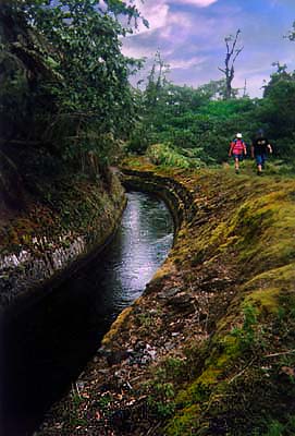 Hawaii Vacations with Dreamride