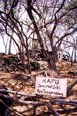 Hawaii Vacations with Dreamride