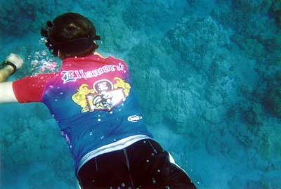 Hawaii Vacations with Dreamride