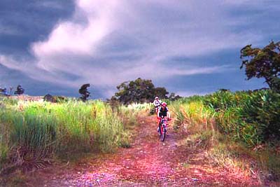 Hawaii Vacations with Dreamride