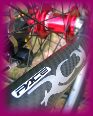 Pace RC31 Carbon Titanium rigid mountain bike fork