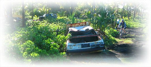 pig hunting trails along the coast