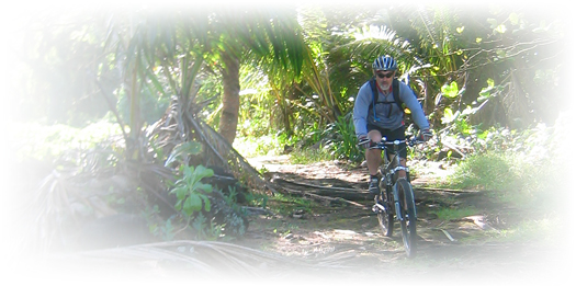 through the jungle to the tide pools
