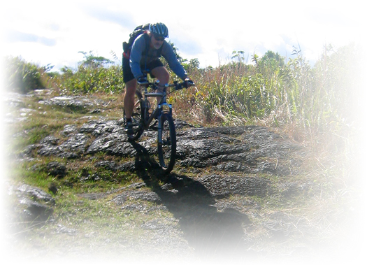 pig hunting trails along the coast