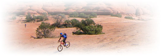 From the trail.