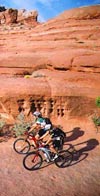 Mountain Bike Honeymoons