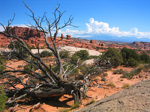 Arches National Park hikes