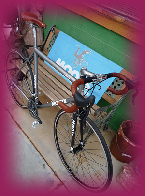 Dreamride Classic Moots Vamoots Bicycle