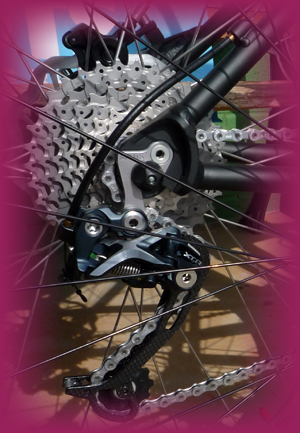 Shimano XTR Shadow