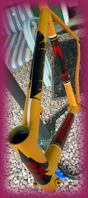 Custom paint for the Serotta CVC