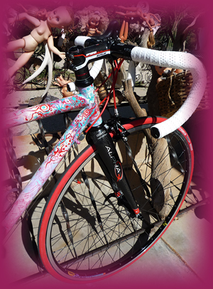 Dreamride custom paint for Moots