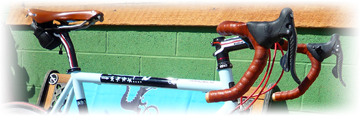 Pegoretti Marcelo - Brooks Swallow saddle and matching bar tape