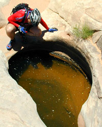 Lee Bridgers, company owner and head guide