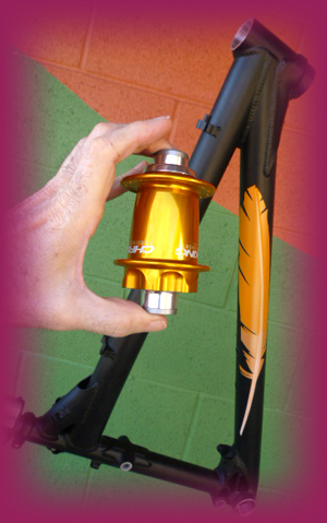 Dreamride color matched custom paint and Chris King hub