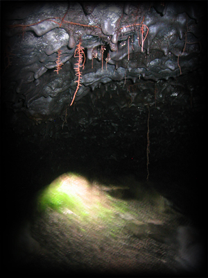 Lava tube hike.