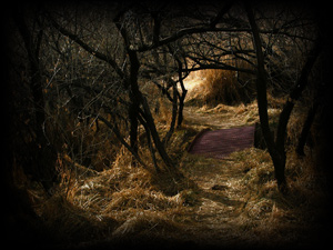 Bullock Wetlands singletrack