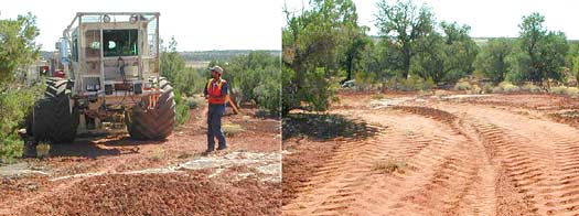 Thumper trucks destroying habitat