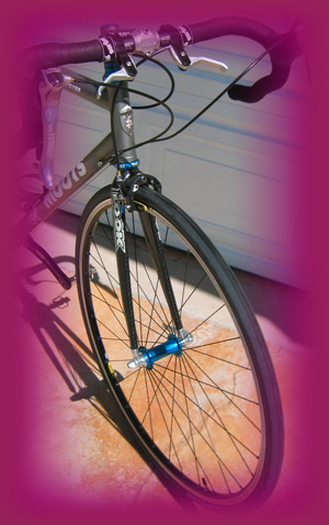 Dreamride Moots Vamoots Loop Road build