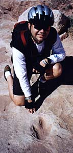 dinosaur tracking