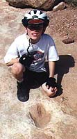 dinosaur tracks on Klondike Bluffs Trail