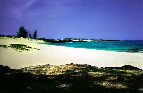 Water sports vacation in Hawaii